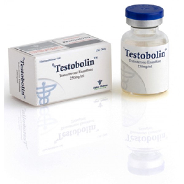 Köpa Testosteron-enanthat: Testobolin (vial) Pris