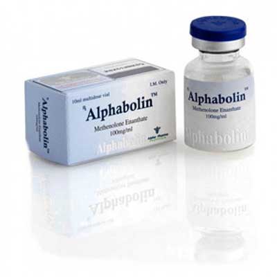 Köpa Metenolon-enanthat (Primobolan depot): Alphabolin (vial) Pris